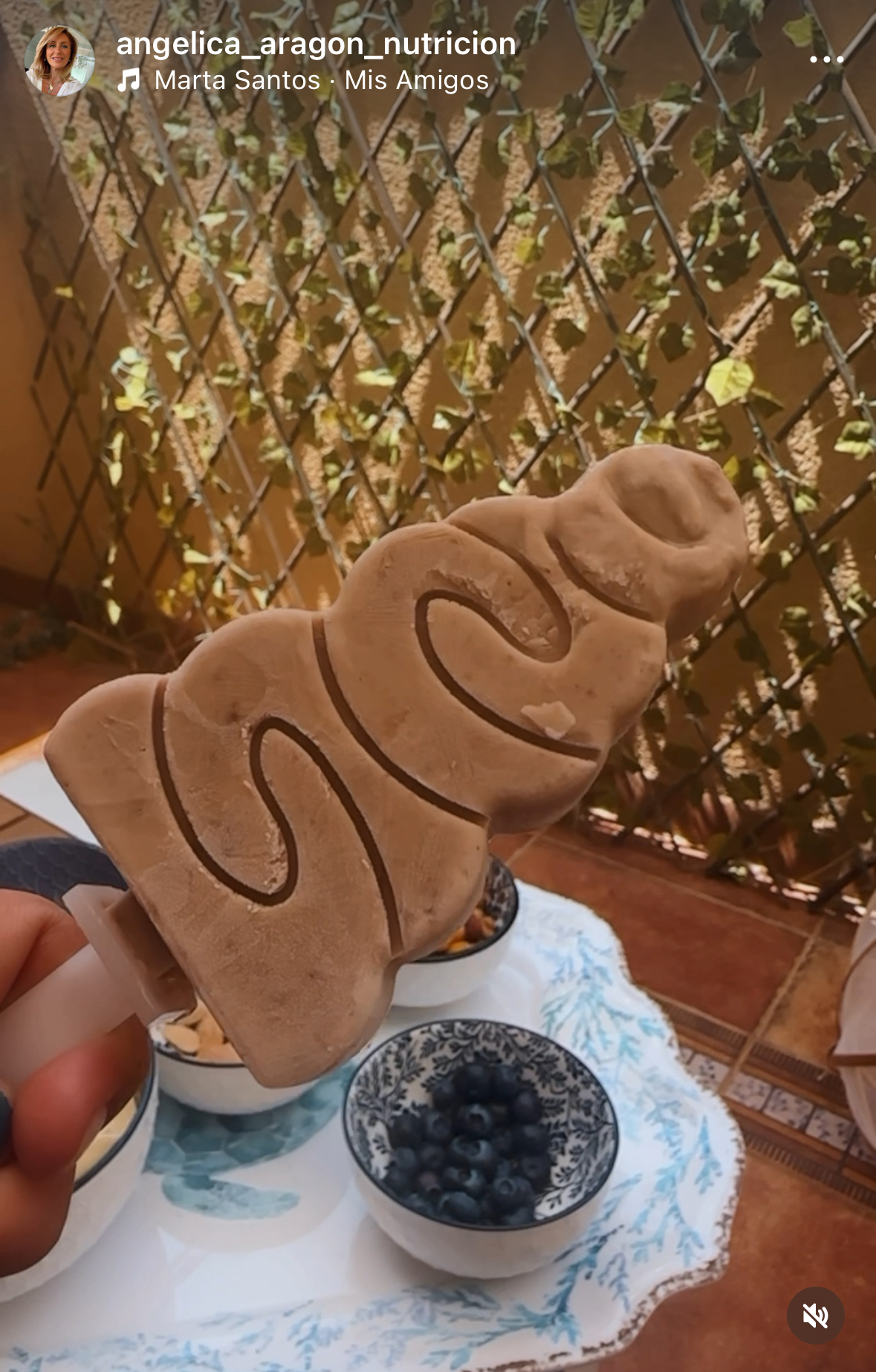 HELADOS CASEROS